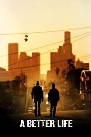 A Better Life (2011) Hindi Dual Audio [1.2GB] HD Poster Download - filmyfly