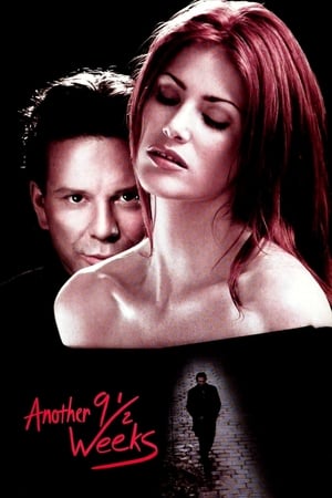 Another Nine And A Half Weeks 1997 [Hindi] Dual Audio 300MB HD Poster Download - filmyfly