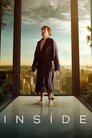Inside (2023) Hindi Dual Audio – HD Poster Download - filmyfly