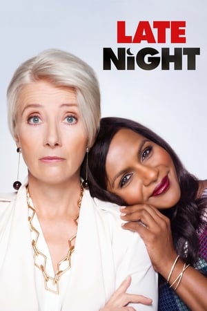 Late Night 2019 Hindi Dual Audio 300MB