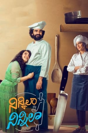 Ninnila Ninnila (2021) Hindi Movie – [400MB] HD Poster Download - filmyfly