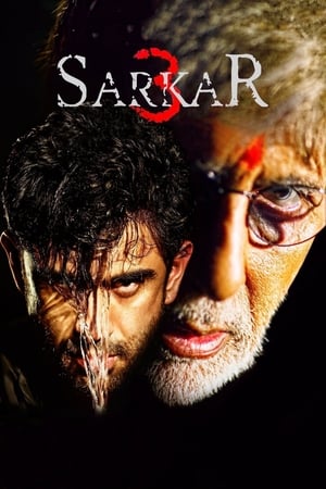 Sarkar 3 2017 190mb hindi movie Download HD Poster Download - filmyfly