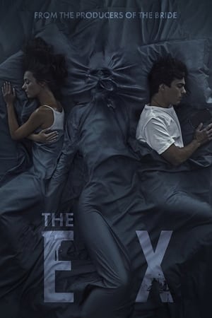 The Ex (2021) Hindi Dual Audio – HD Poster Download - filmyfly