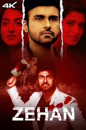 Zehan 2024 Hindi – HD Poster Download - filmyfly